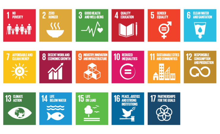 Sustainable Development Goals